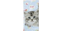 914_tissue_grijs_kitten